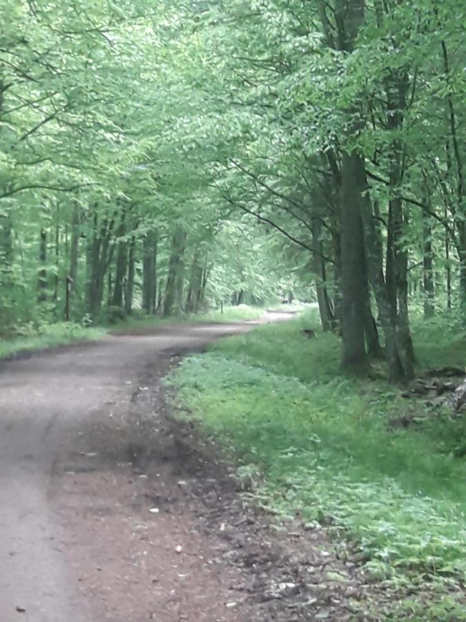 In Nature Bialowieza Exterior photo