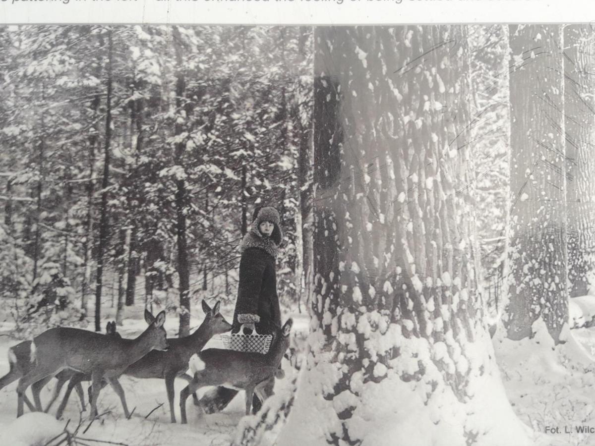 In Nature Bialowieza Exterior photo