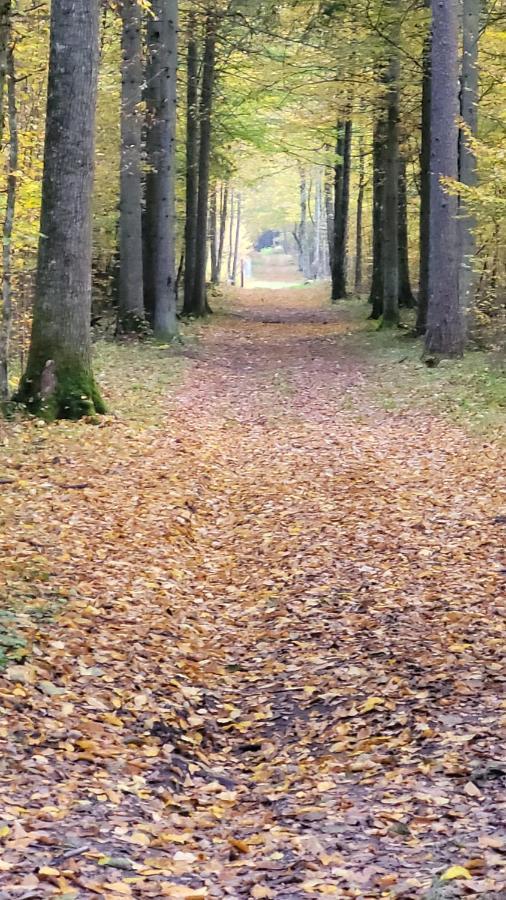 In Nature Bialowieza Exterior photo